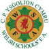 The Welsh Schools' Football Association website The Welsh Schools' Football Association logo
