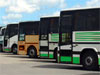 Photgraph of Private Coaches lined up in a Coach Park